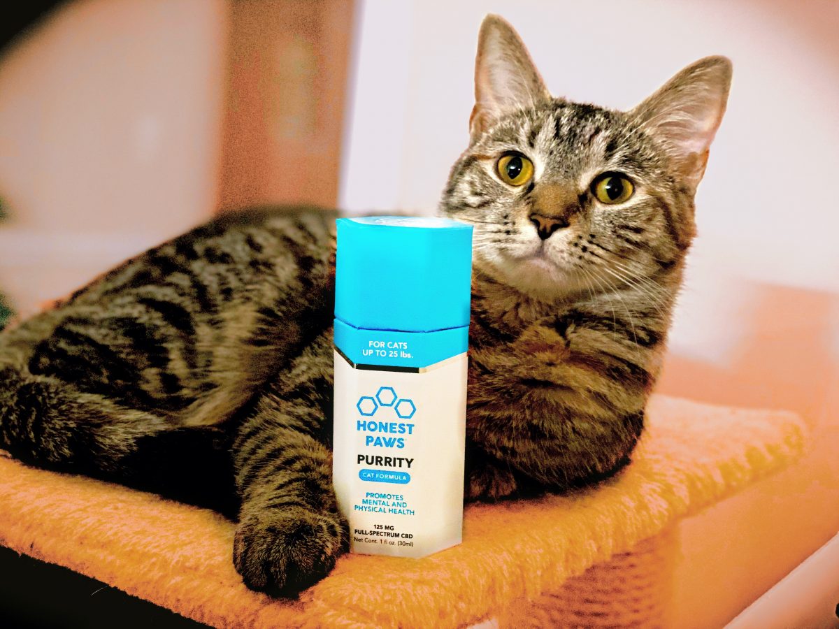 Honest Paws Purrity - Hemp Oil for Cats - Image 3