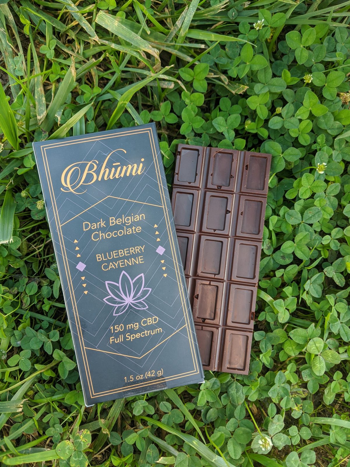 Blueberry Cayenne Dark Chocolate Bar