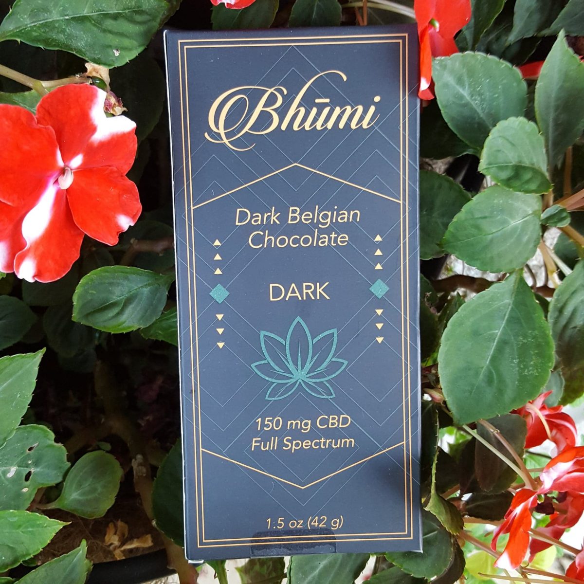 Natural Dark Chocolate Bar