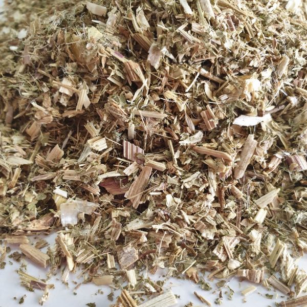 Blessed Thistle
