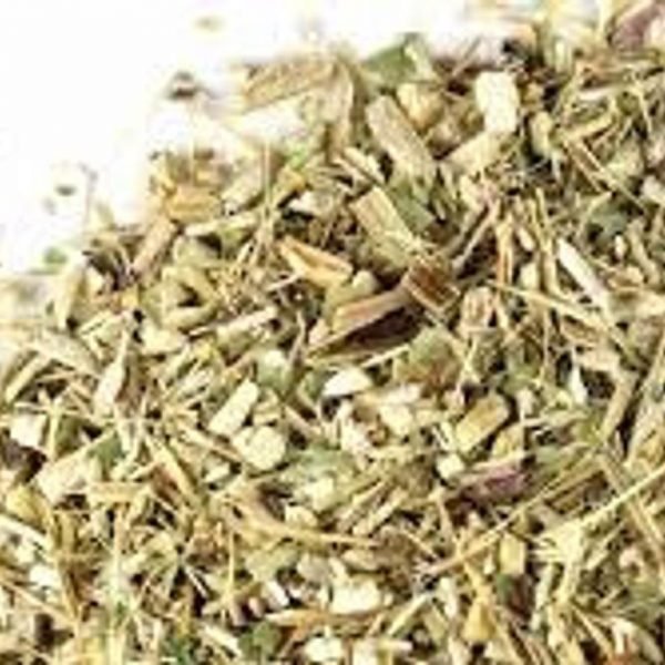 Echinacea