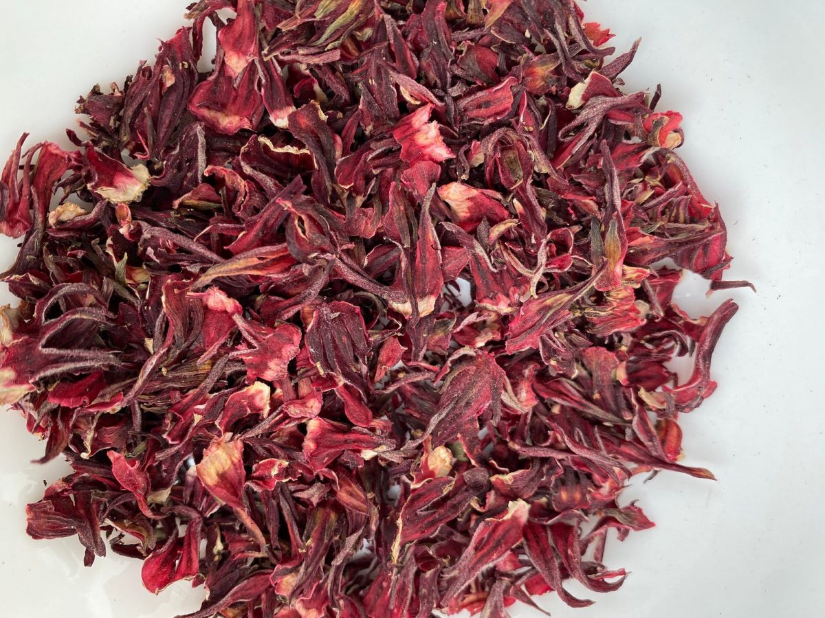 Hibiscus