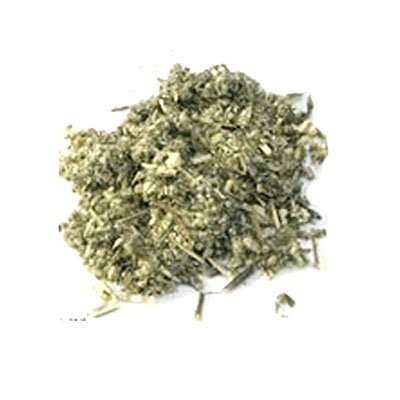 Mugwort
