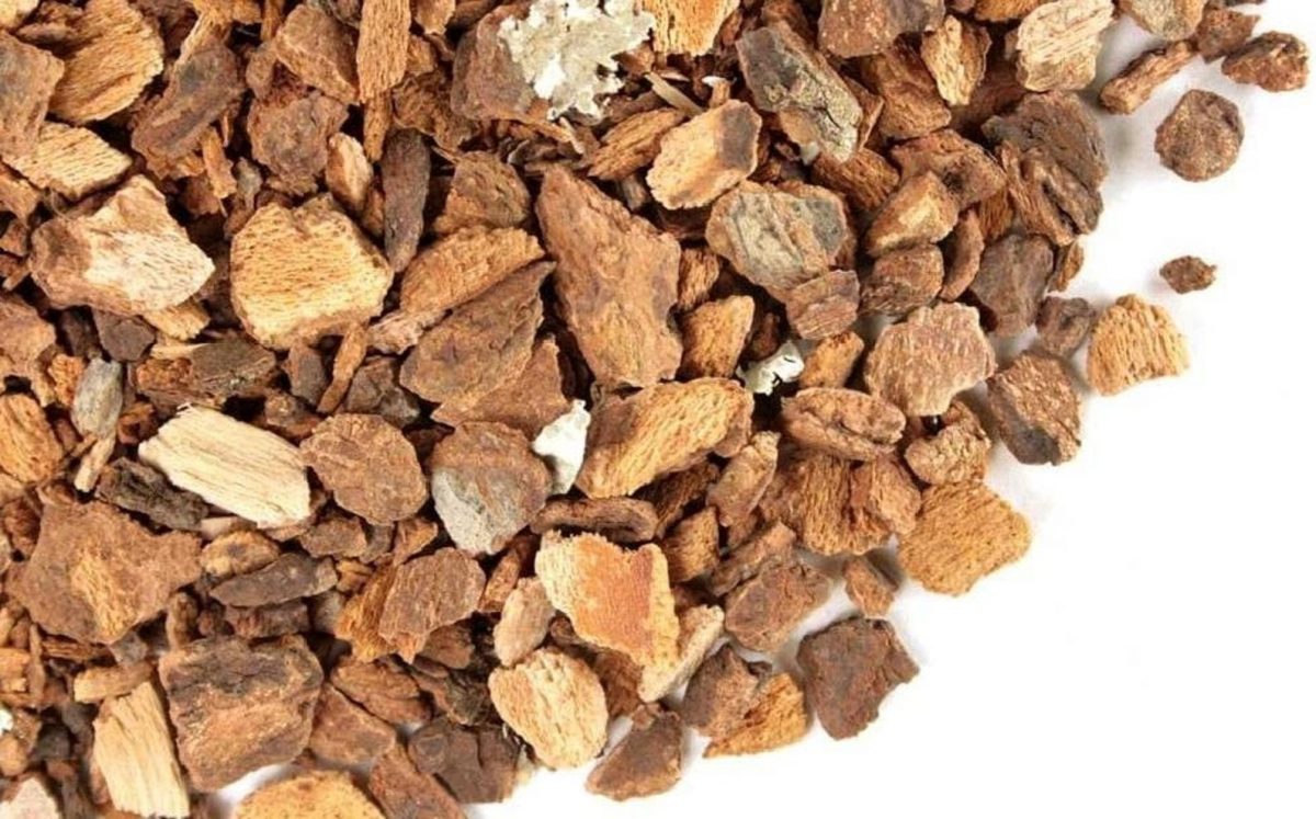 Wild Cherry Bark