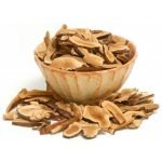 Astragalus