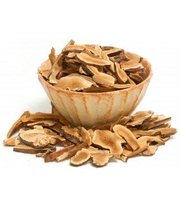 Astragalus