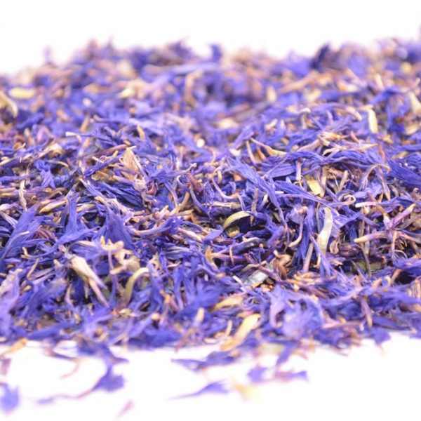 Cornflower