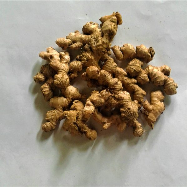 Ginger Root