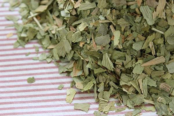 Ginkgo Leaf