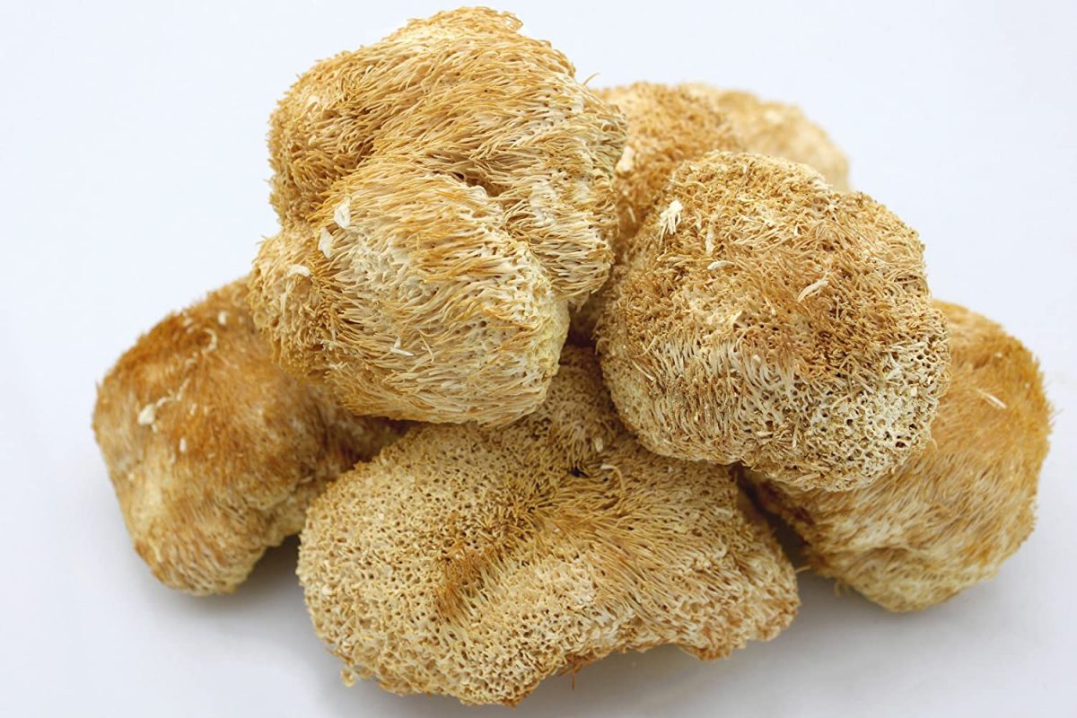 Lions Mane