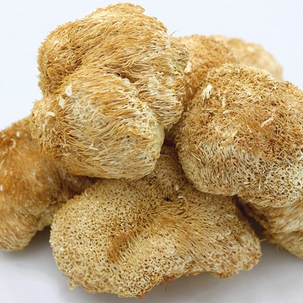 Lions Mane