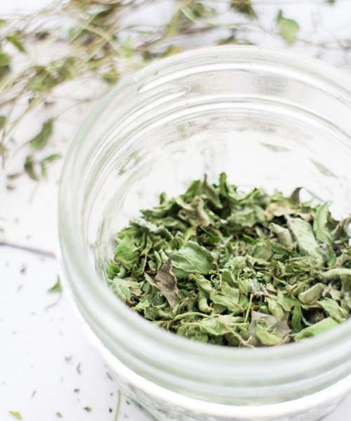 Dried Mint Leaves