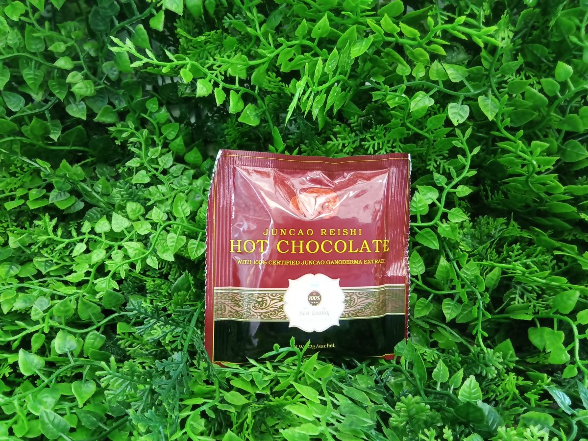Juncao Reishi Hot Chocolate