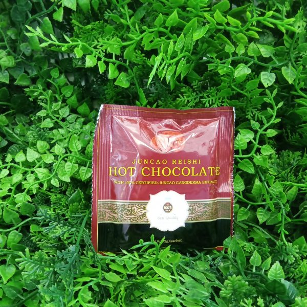Juncao Reishi Hot Chocolate