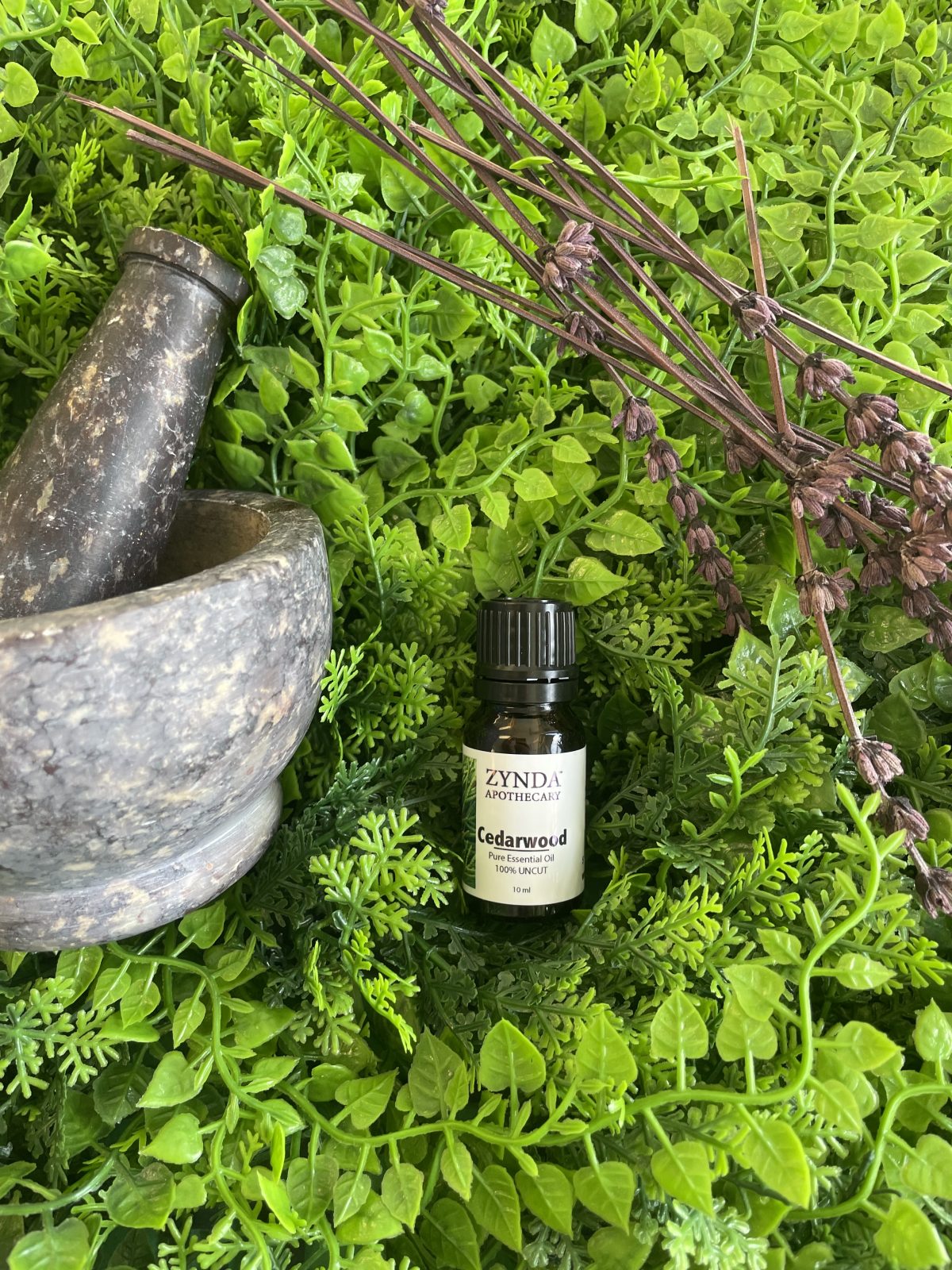 Cedar Wood Essential Oil