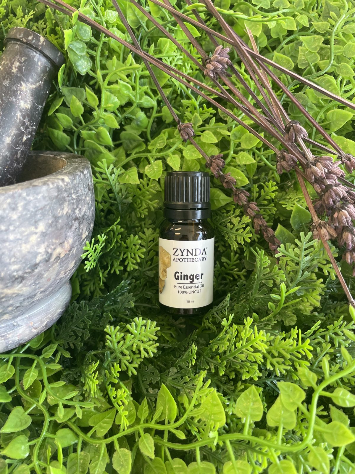 Ginger Essential Oil