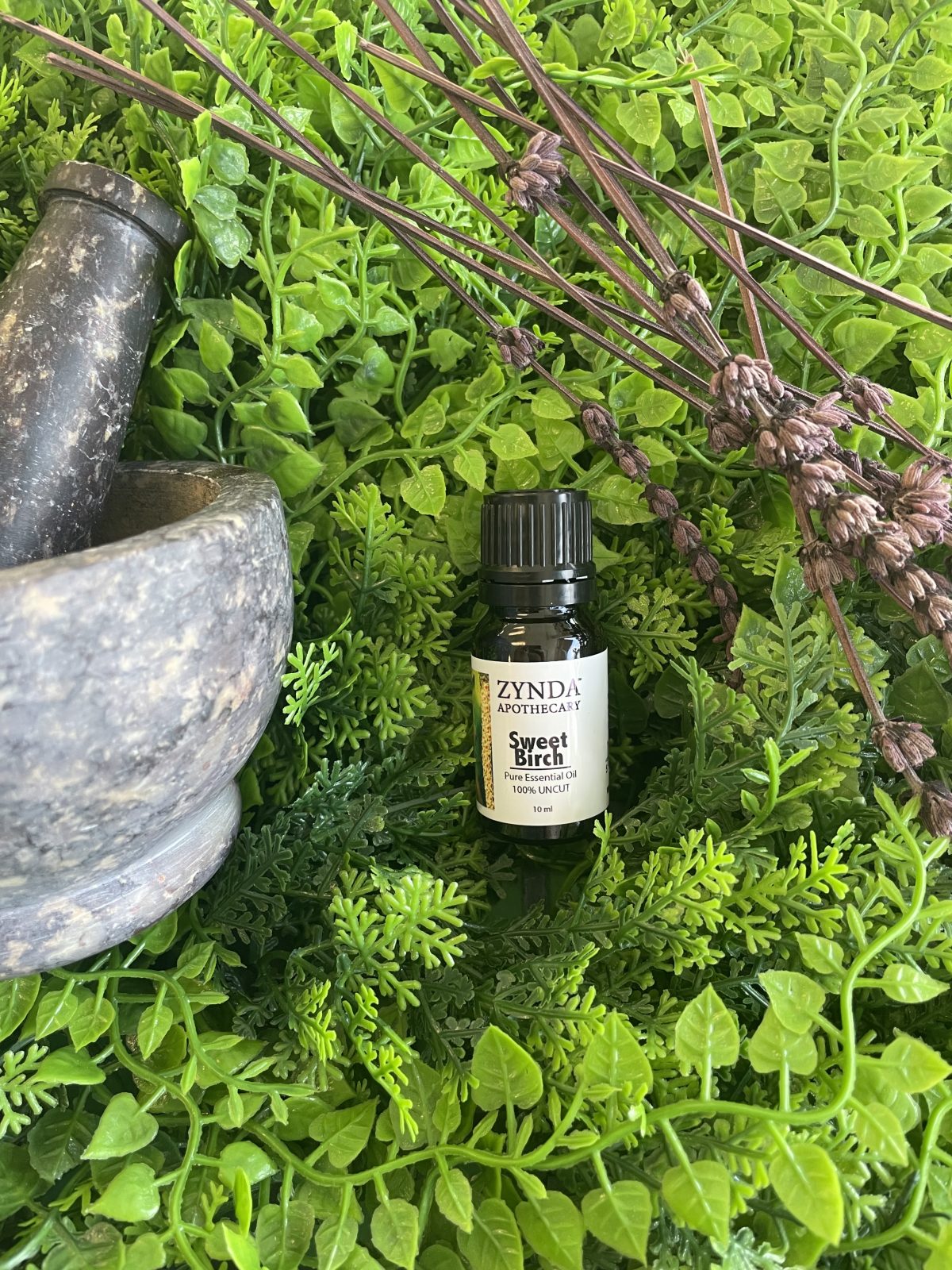 Sweet Birch Essential Oil