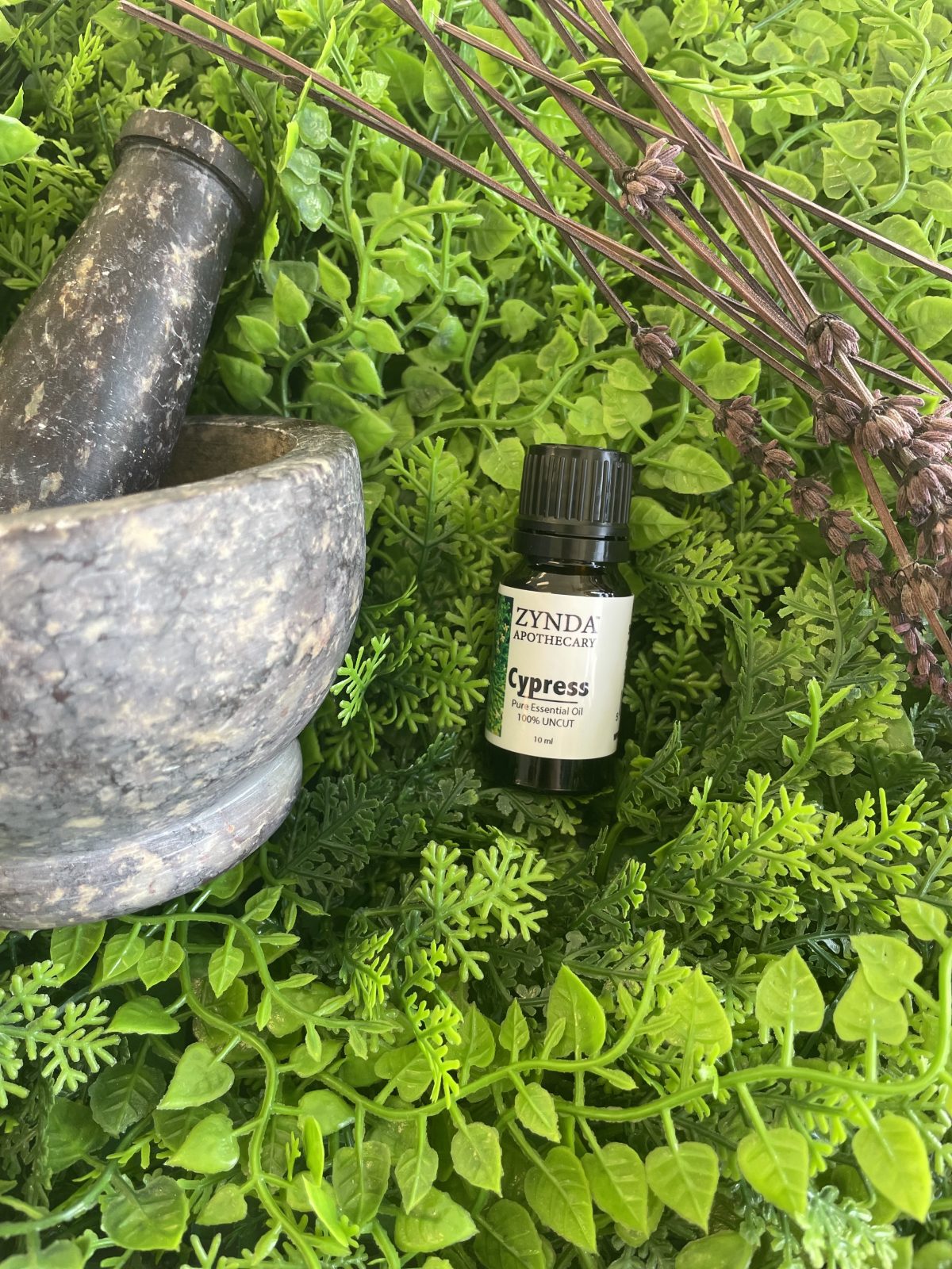 Cypress Essential Oil