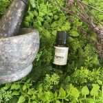 Cypress Essential Oil