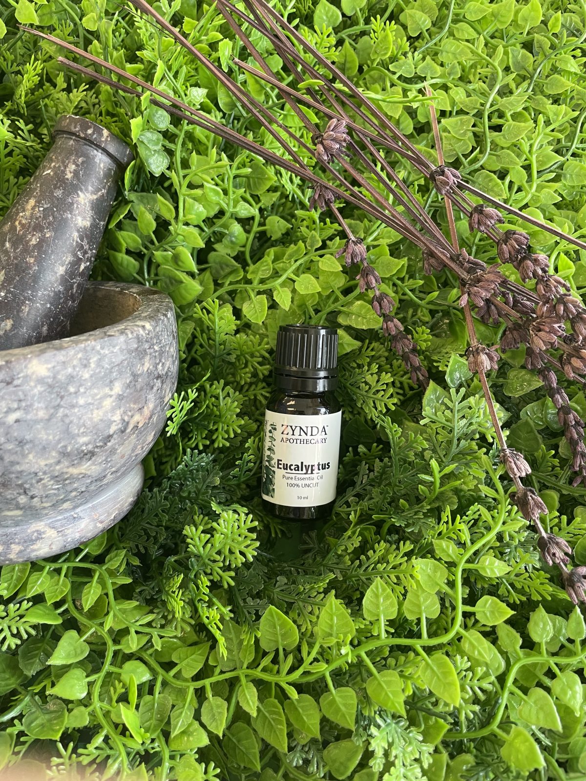 Eucalyptus Essential Oil