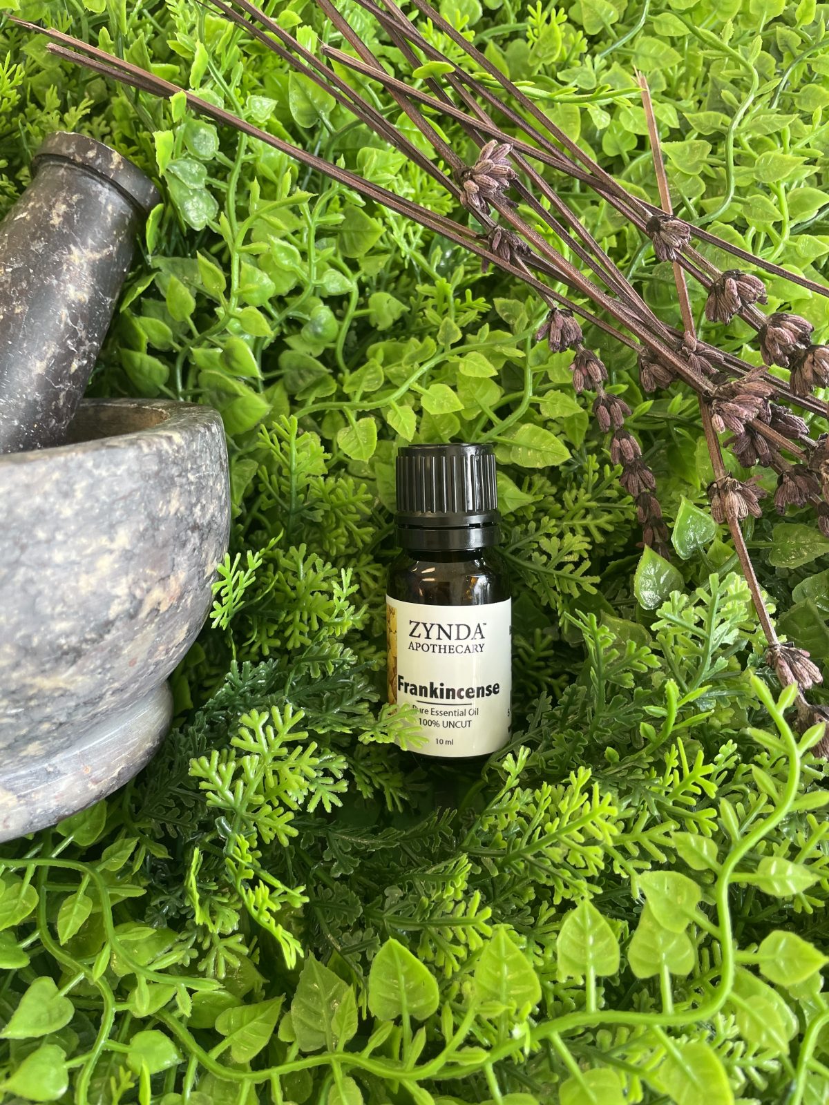 Frankincense Essential Oil