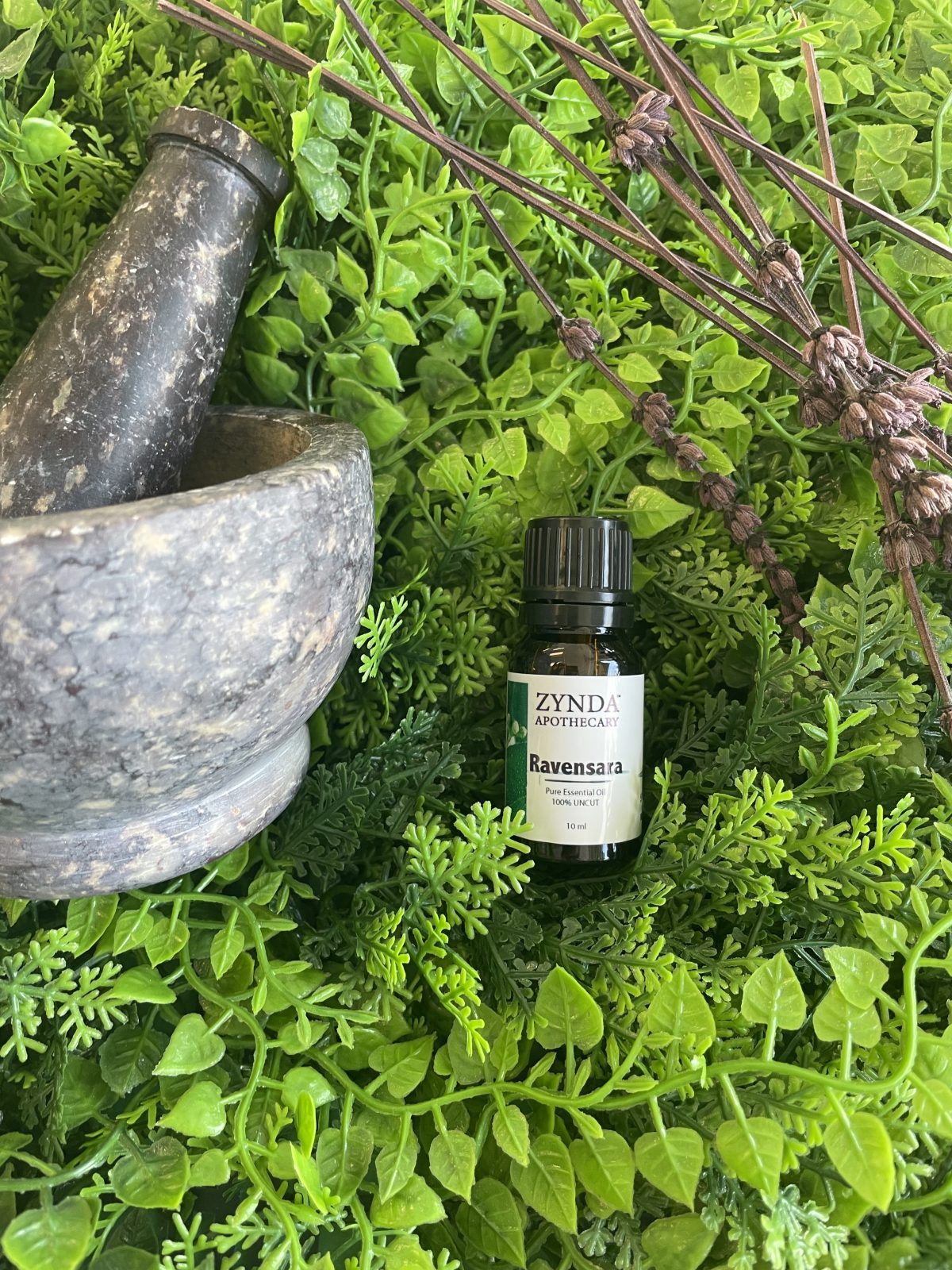 Ravensara Essential Oil