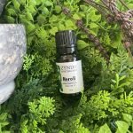 Neroli Essential  Oil