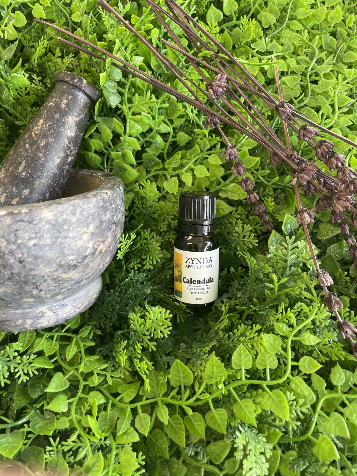 Calendula Essential Oil