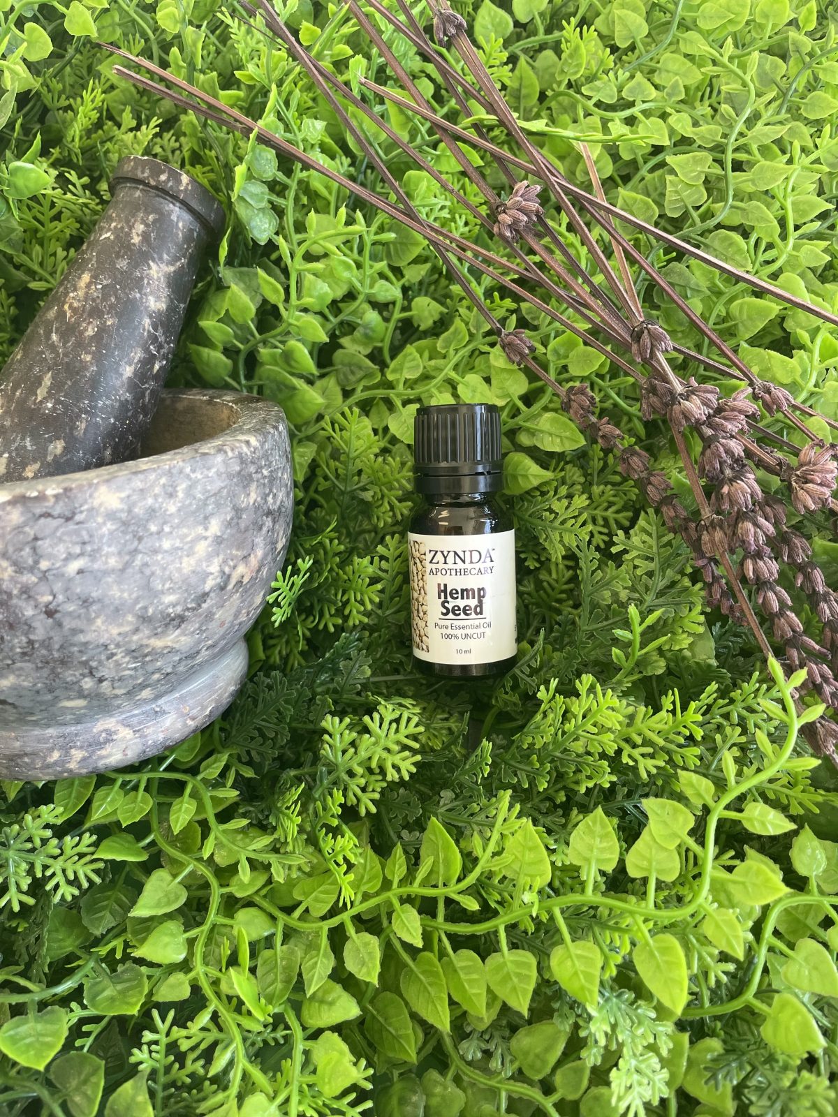 Hemp Seed Essential Oil