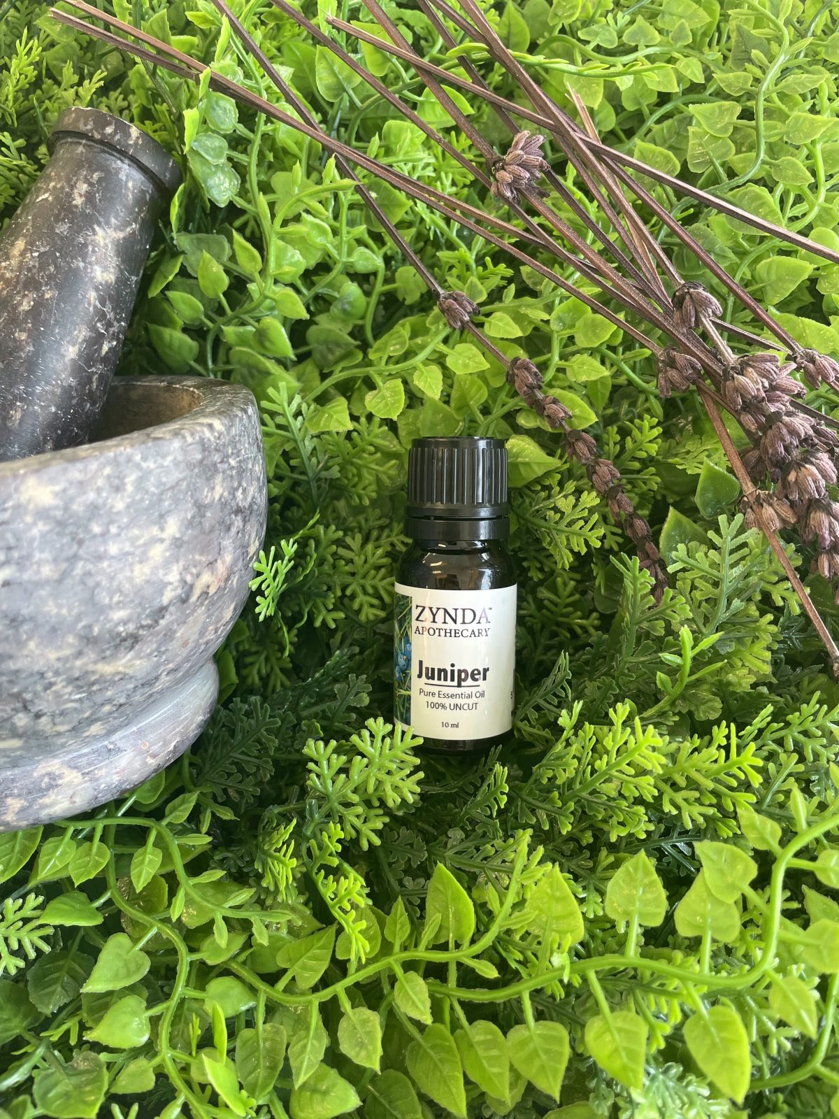 Juniper Berry Essential Oil