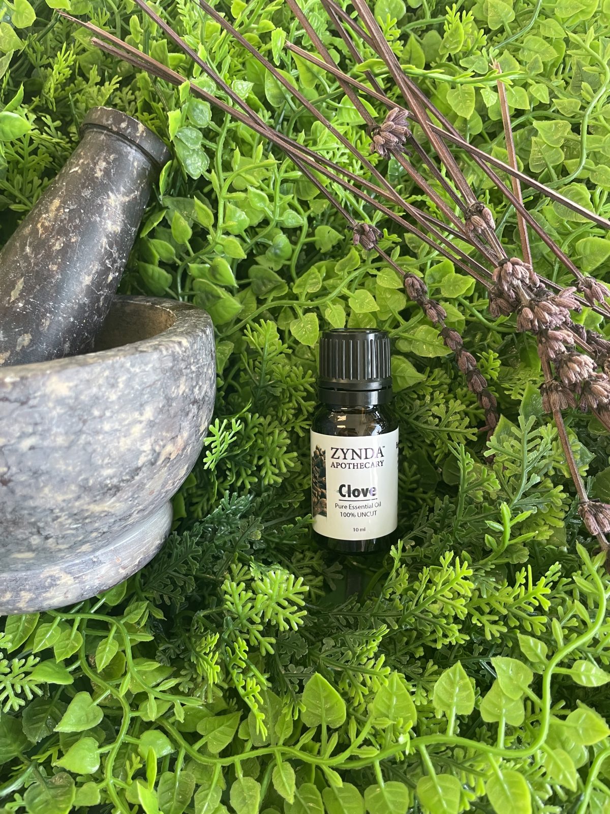 Clove Essential Oil