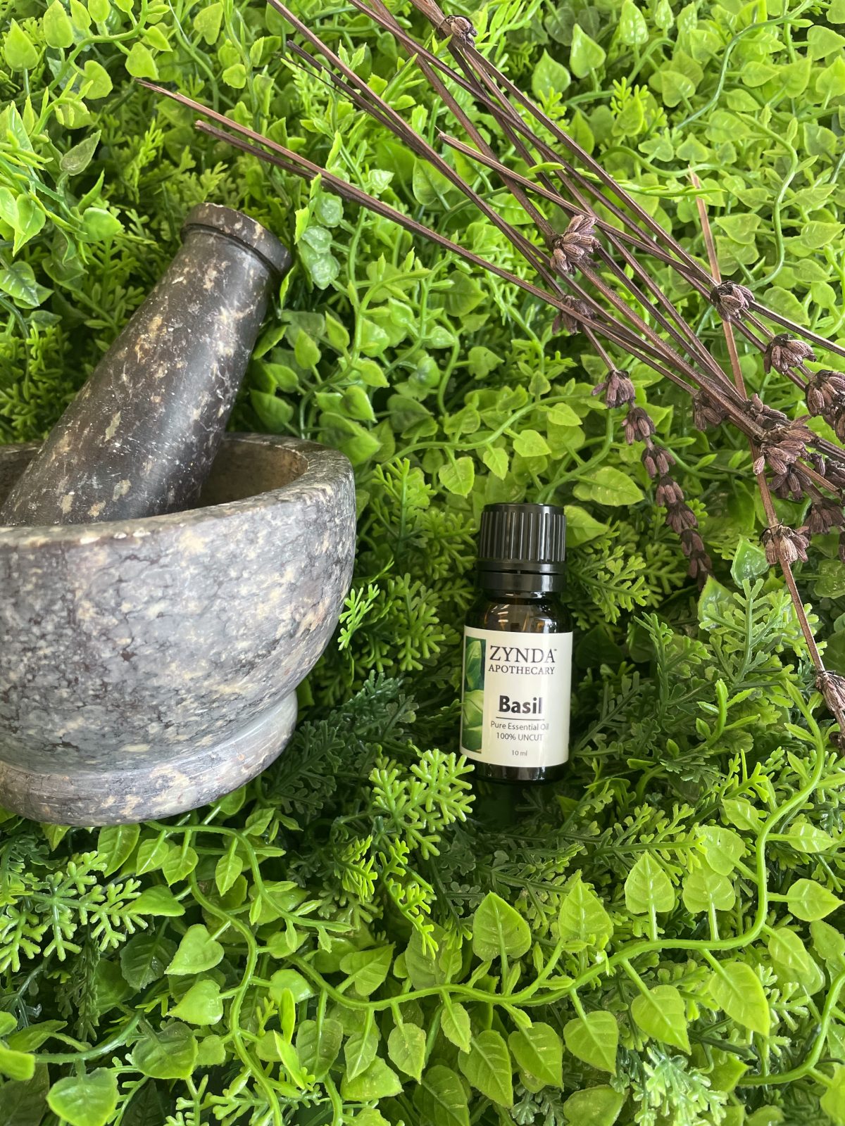 Basil Essential Oil