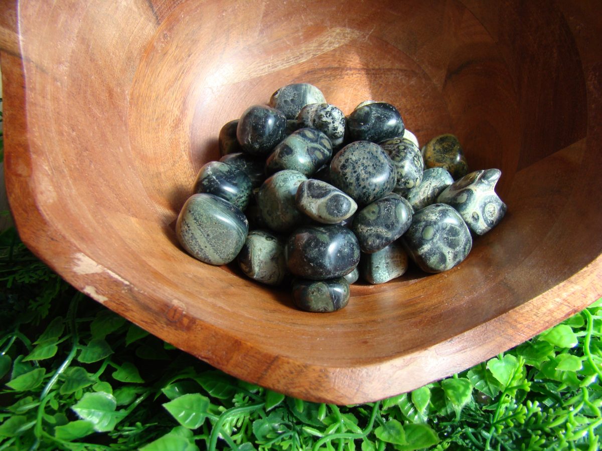 Tumbled Crocodile Jasper