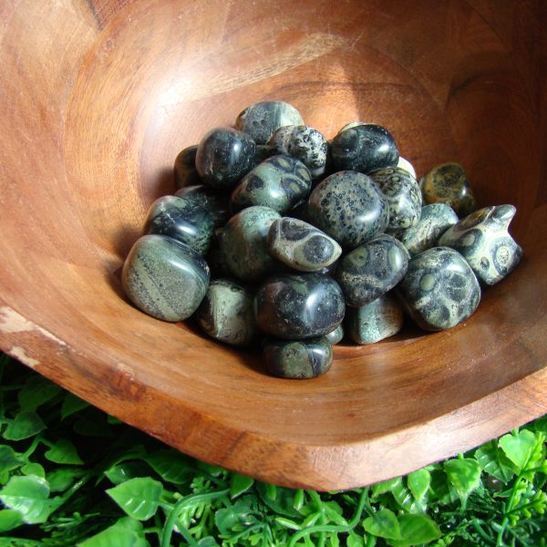 Tumbled Crocodile Jasper