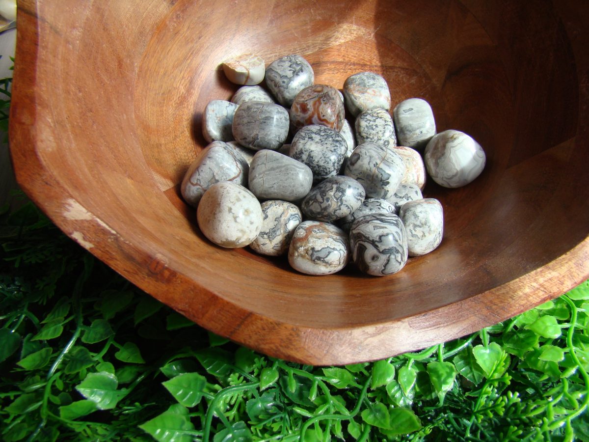 Tumbled Dalmatian Jasper