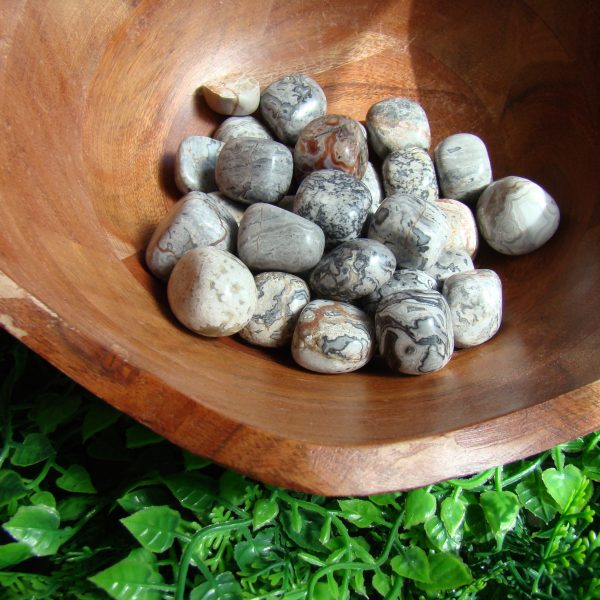 Tumbled Dalmatian Jasper