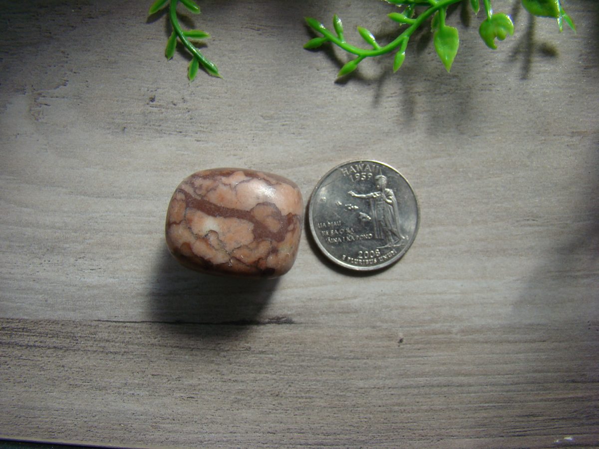 Tumbled Picture Jasper - Image 2