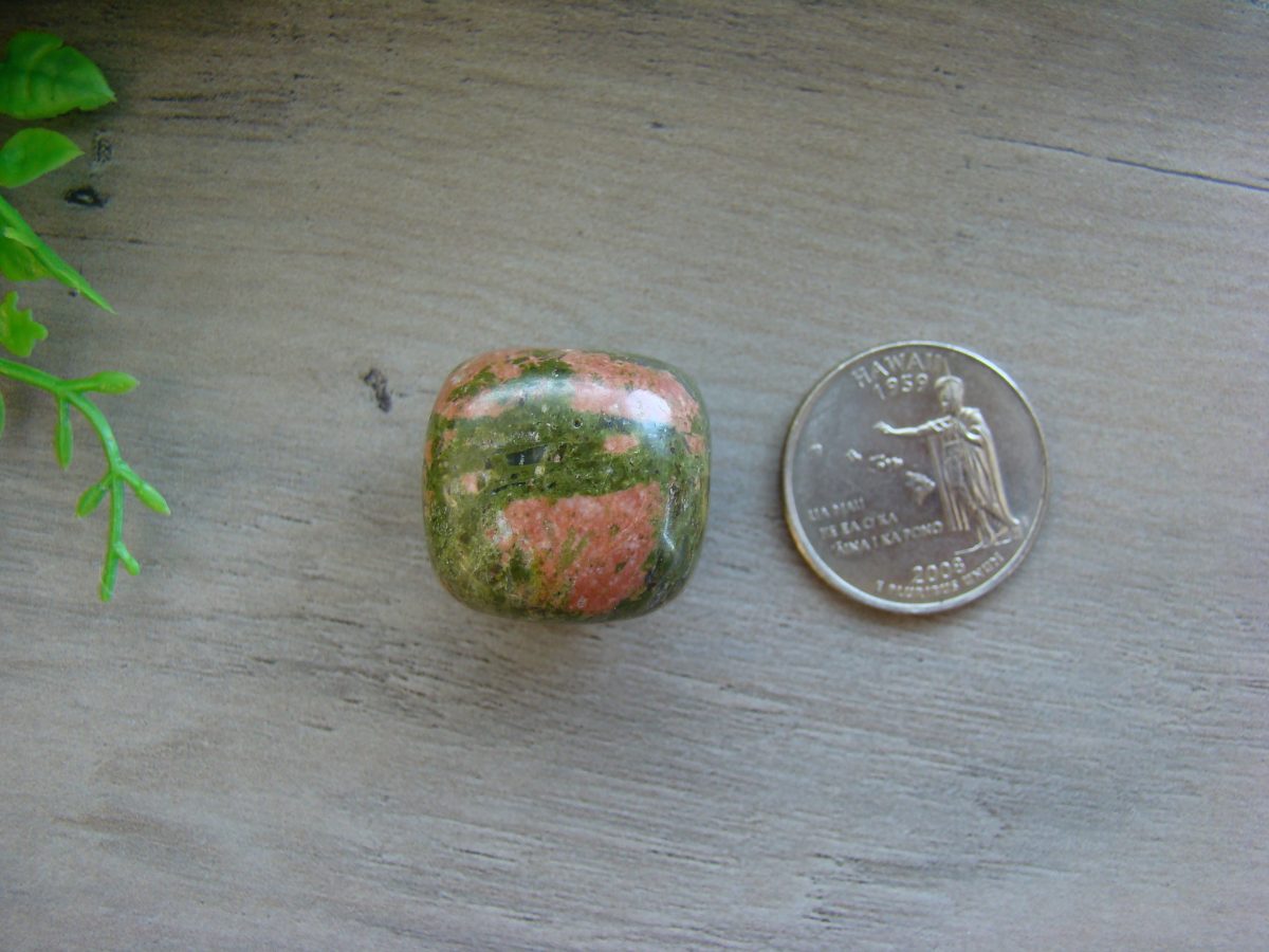 Tumbled Unakite Crystal - Image 2