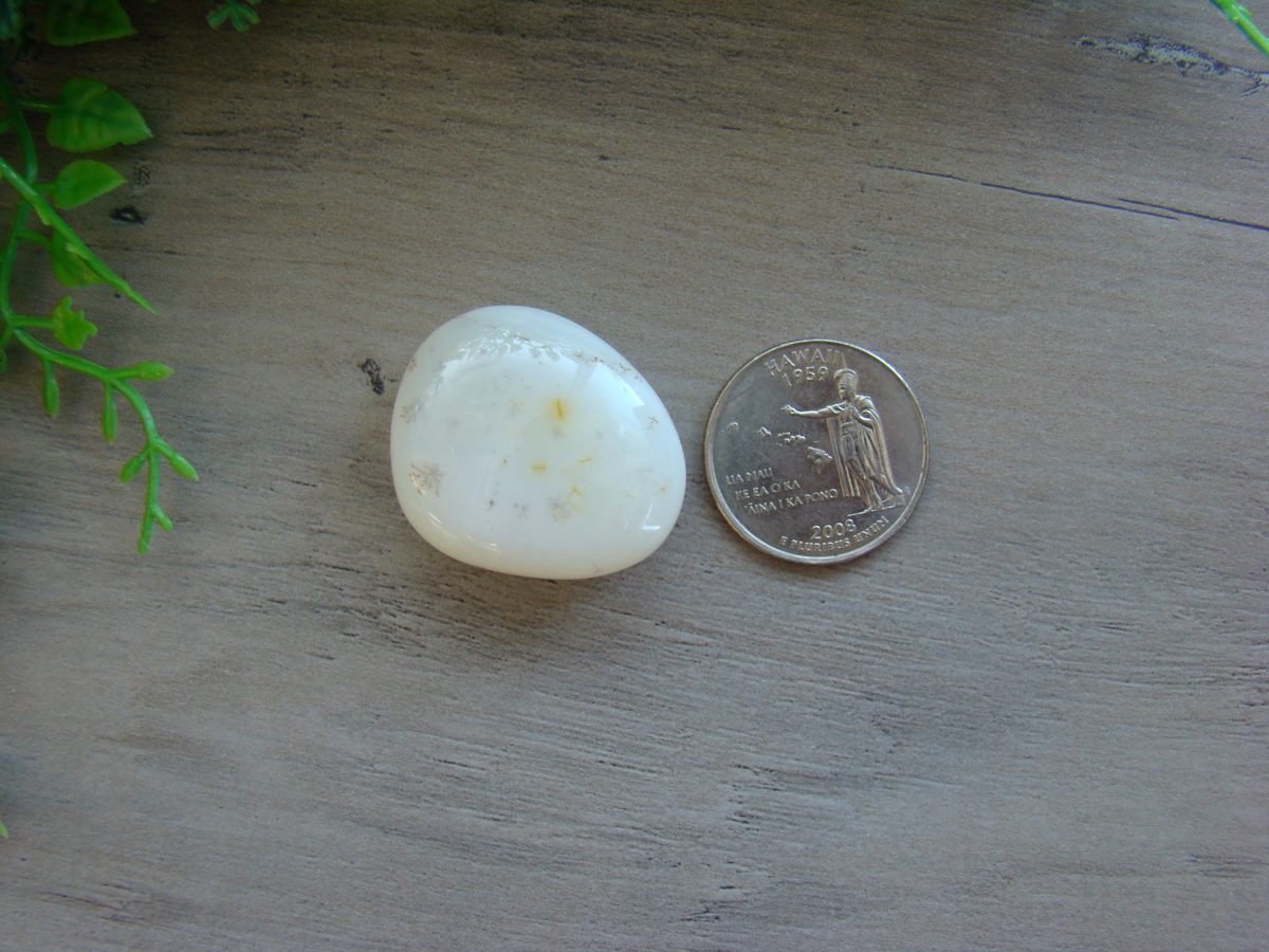 Tumbled Botswana Agate Crysal - Image 2