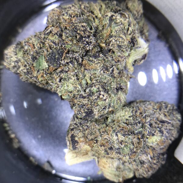Black Cherry