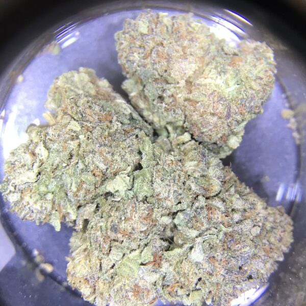Gorilla Glue
