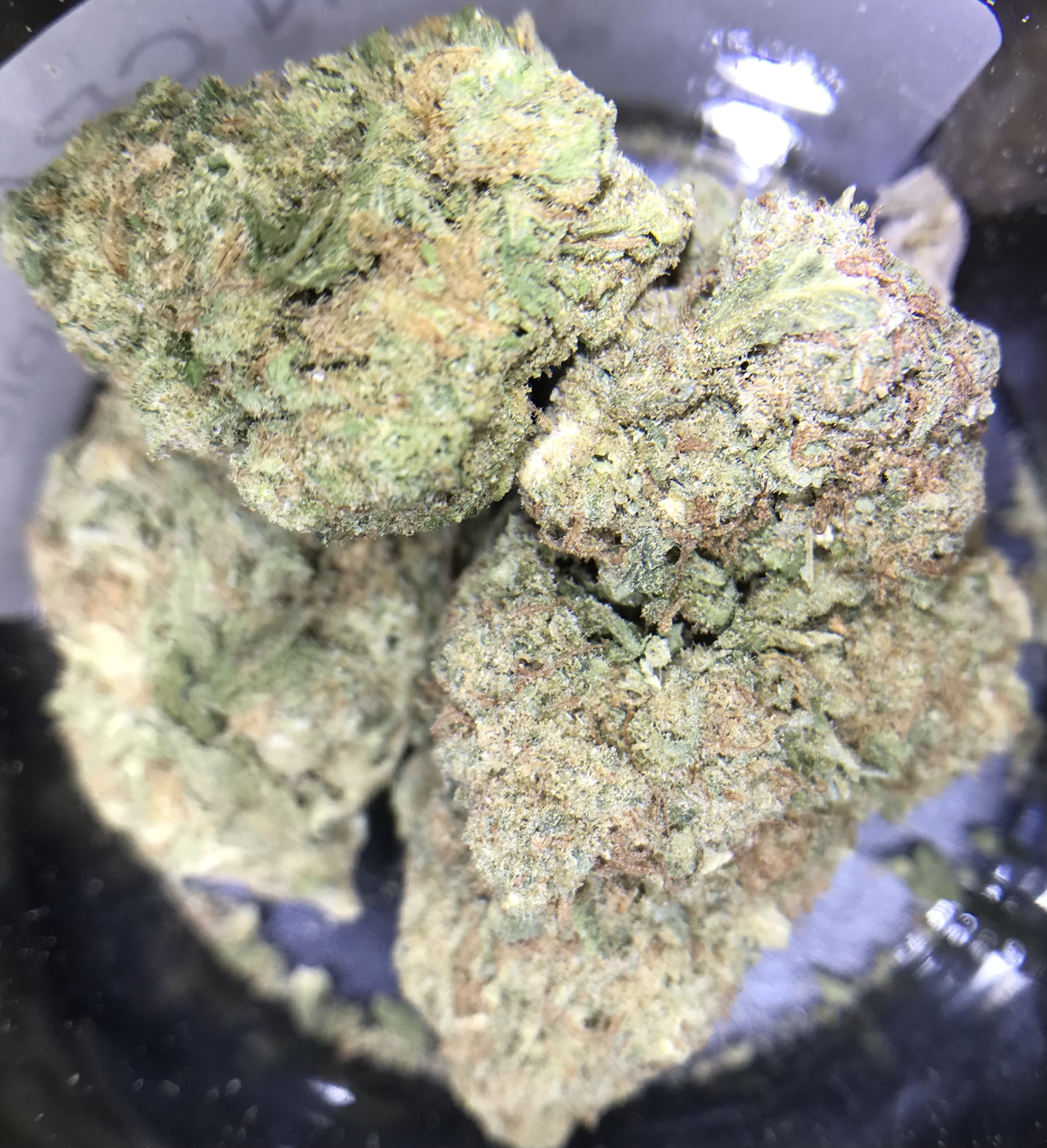 Green Crack