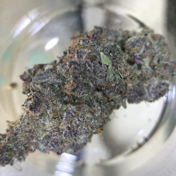 Tropical Cherry