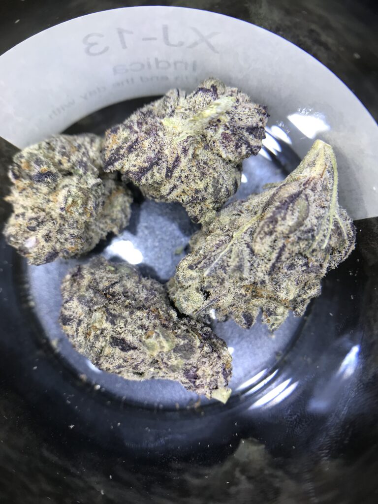 XJ-13