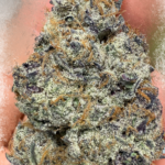Blockberry